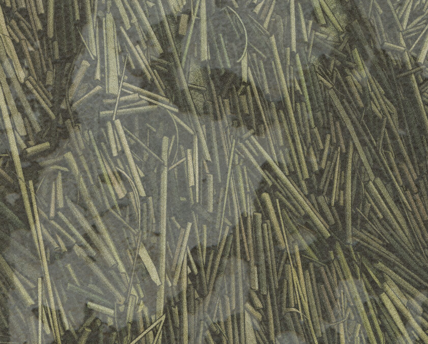 Kunga kalps turpina ceļu